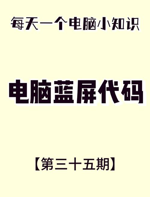 如何用电脑运行代码