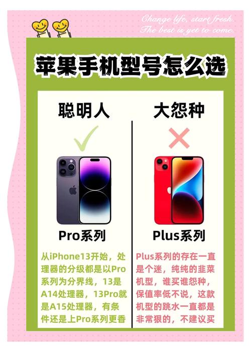 如何知道手机型号苹果
