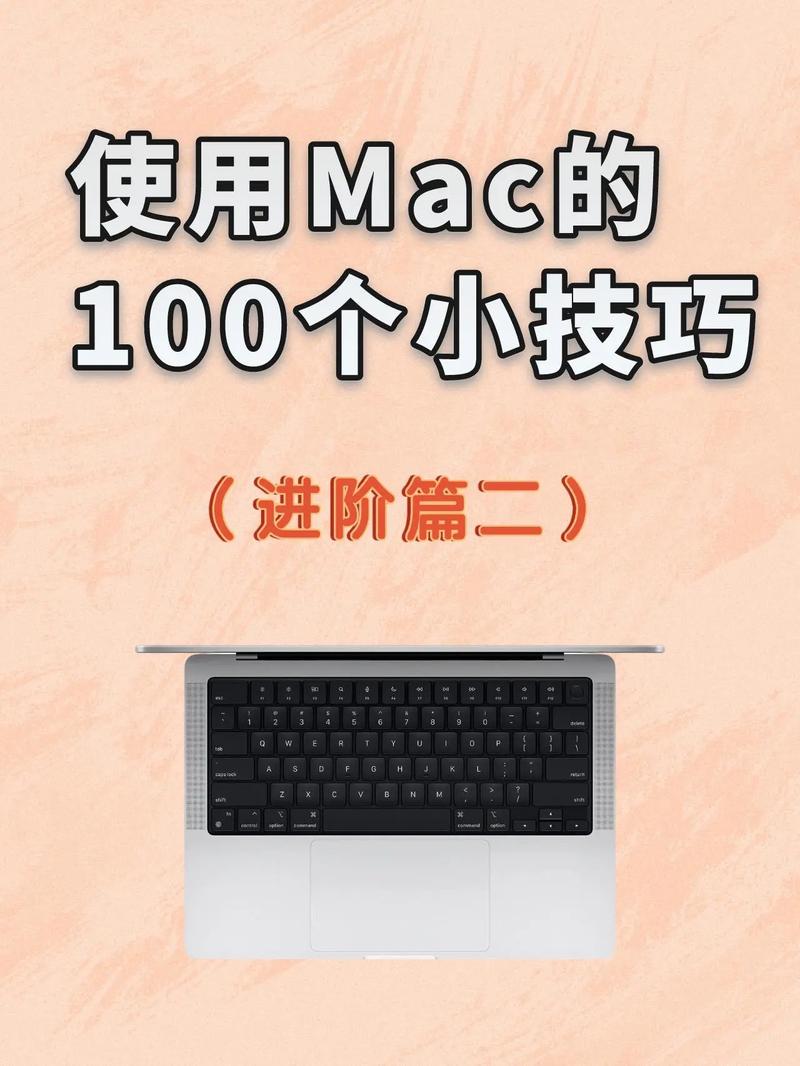如何用苹果电脑？Mac新手快速入门操作指南