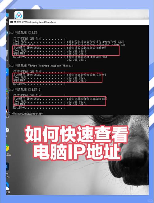 电脑如何访问ip地址