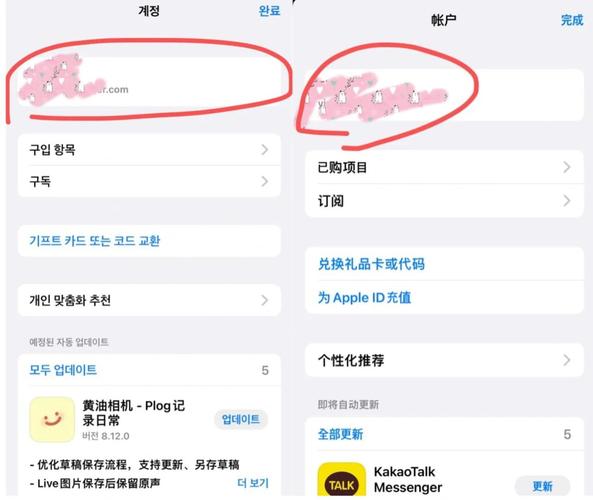 国内苹果手机如何下载国外app软件
