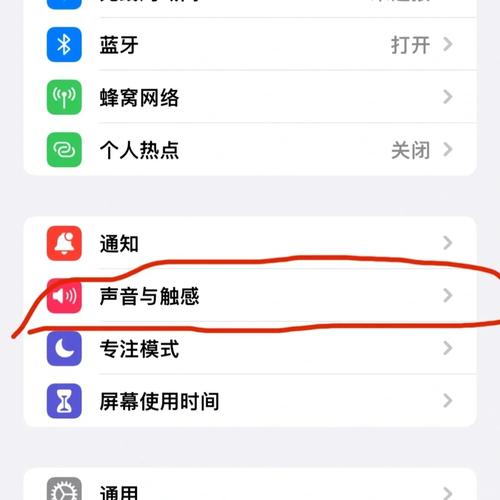 苹果手机如何将音量调大