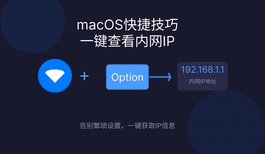 如何查看内网电脑ip