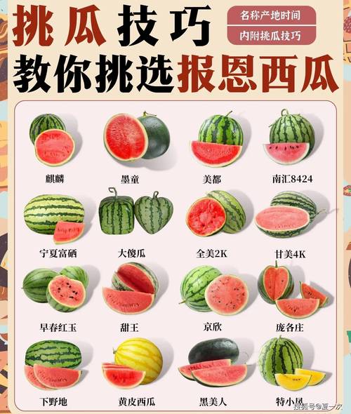如何蹭西瓜视频热度呢苹果手机