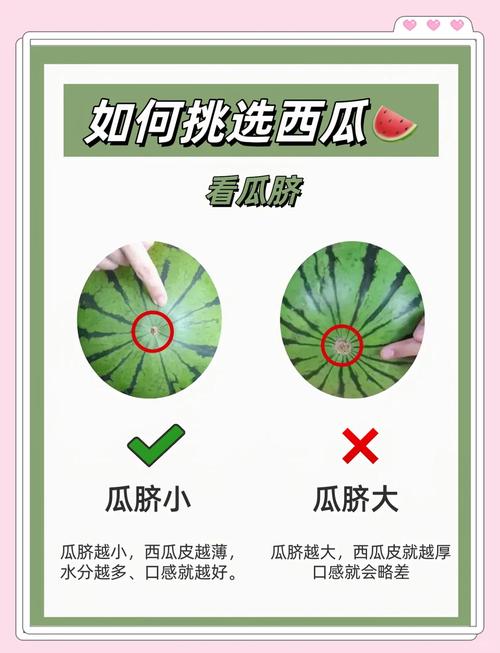 如何蹭西瓜视频热度呢苹果手机