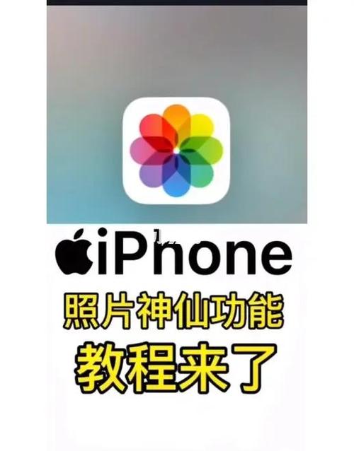 视频如何切回忆片段呢苹果手机