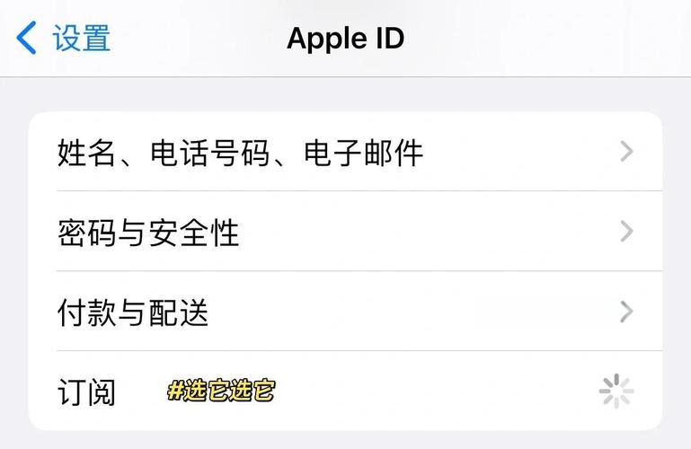 苹果手机烂了如何取消订阅app