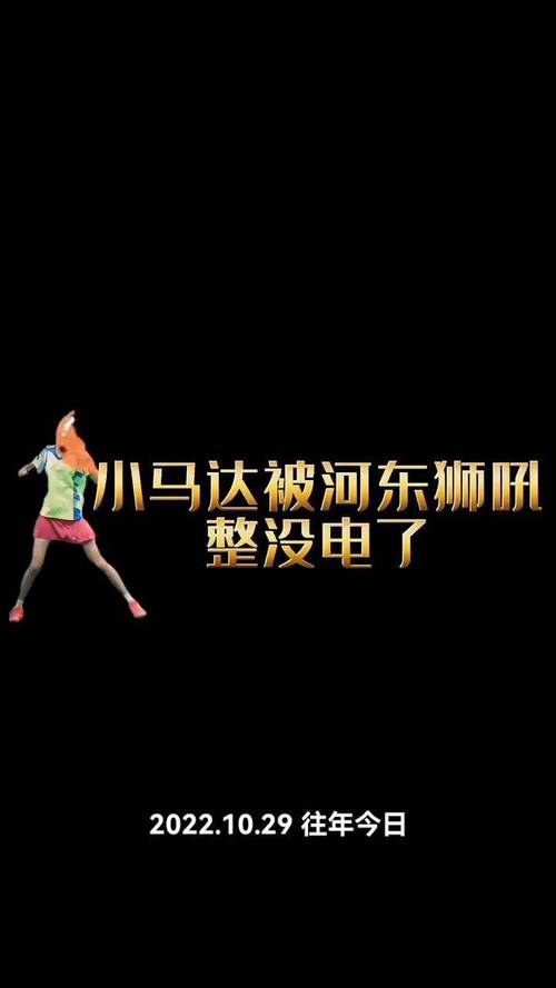 狮吼如何电脑直播