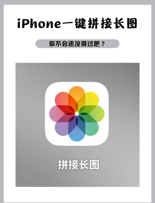 rfs如何从苹果手机上下载