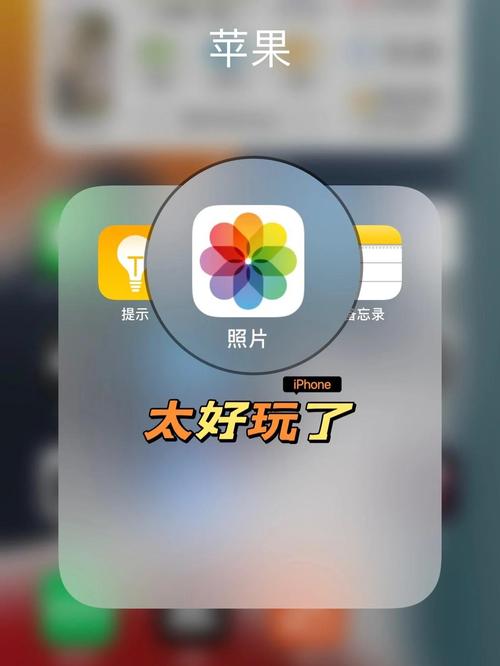 如何找苹果手机的app本地相册