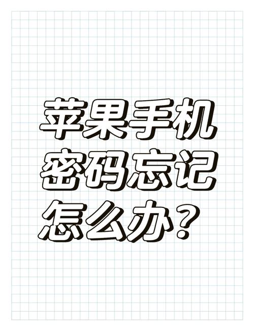 忘记苹果id和密码如何激活手机