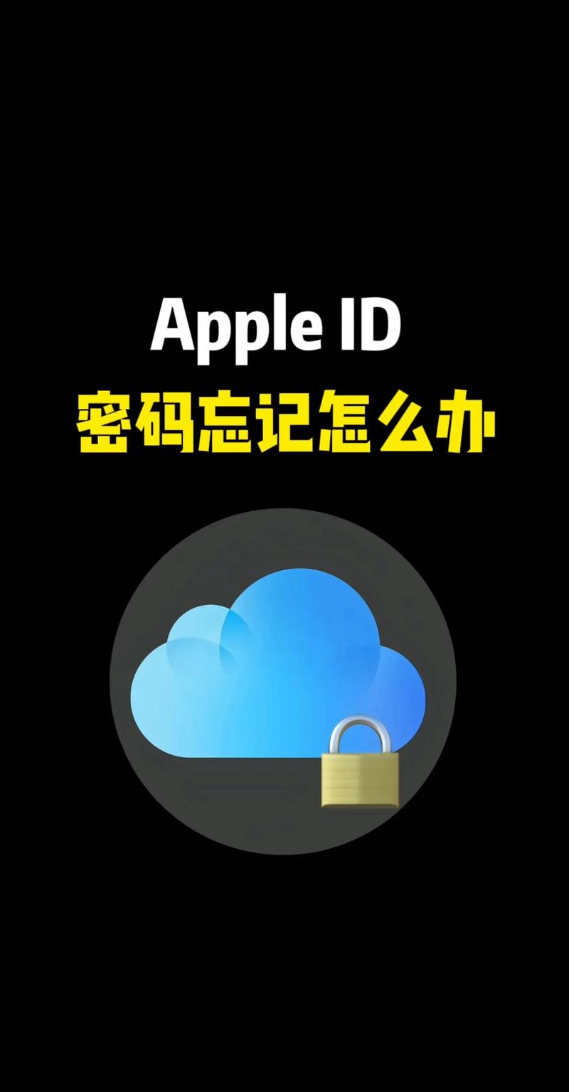 忘记苹果id和密码如何激活手机