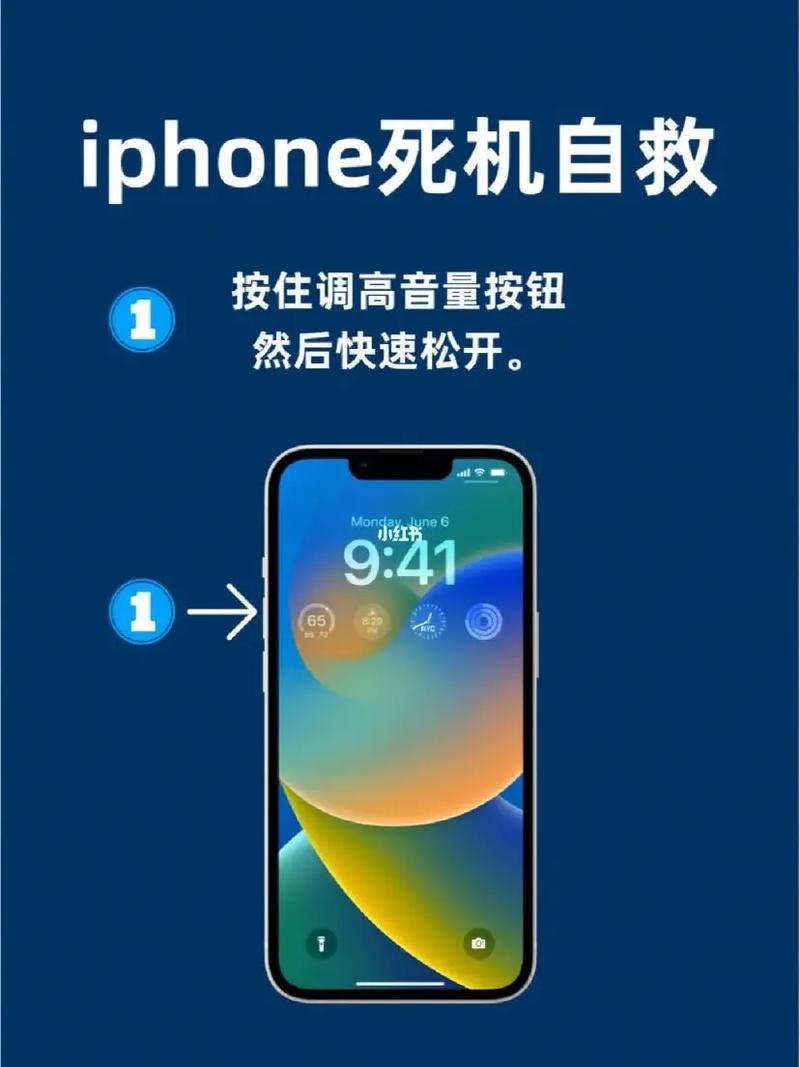 苹果手机屏不亮如何处理