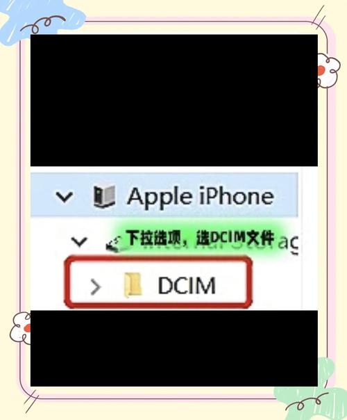 苹果上的app如何导出到电脑