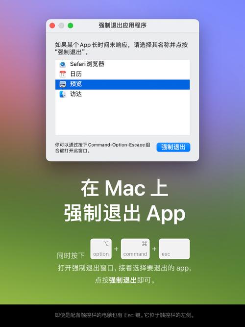 如何关闭苹果电脑的程序