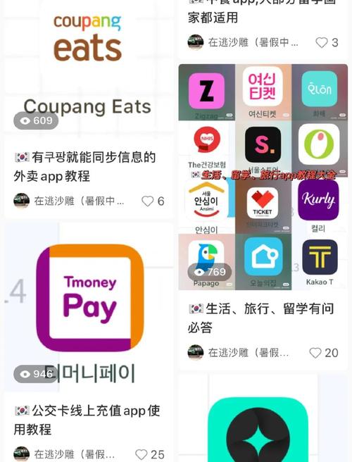韩国人如何苹果手机呢