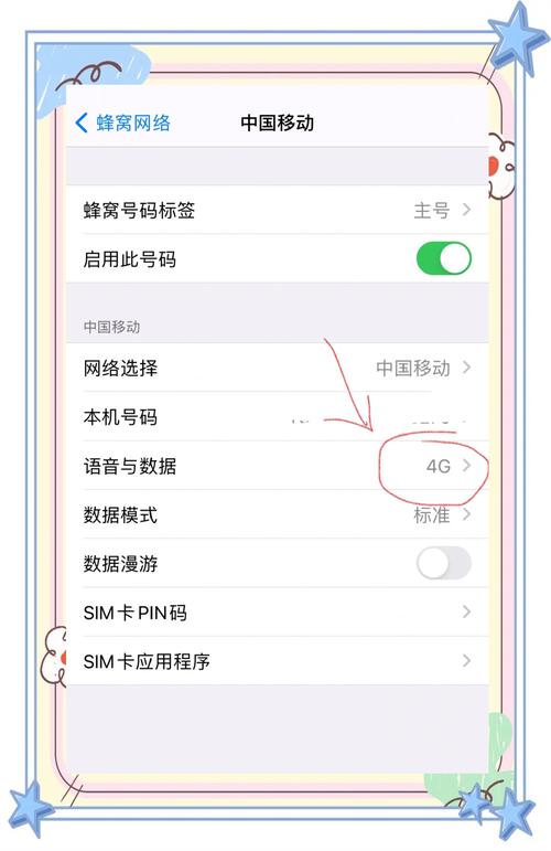 苹果手机上如何设置4g