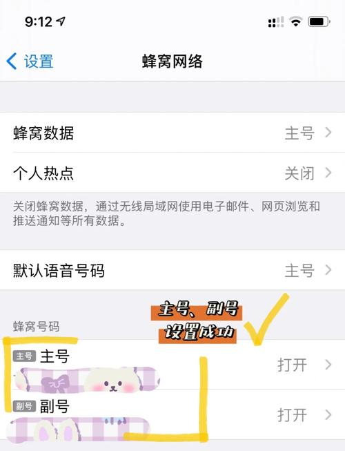 苹果手机如何安两张卡