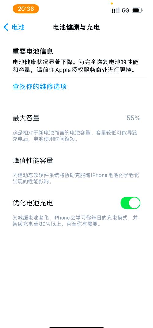 g如何检测苹果手机电池