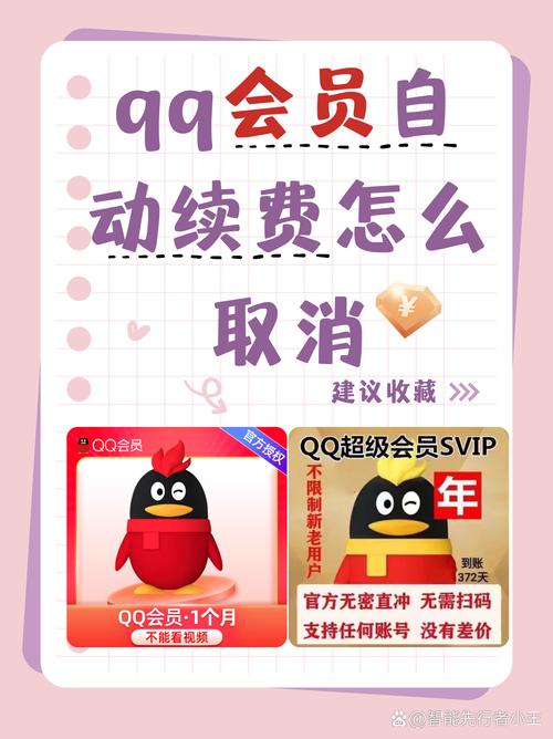 苹果手机用Q如何开通会员