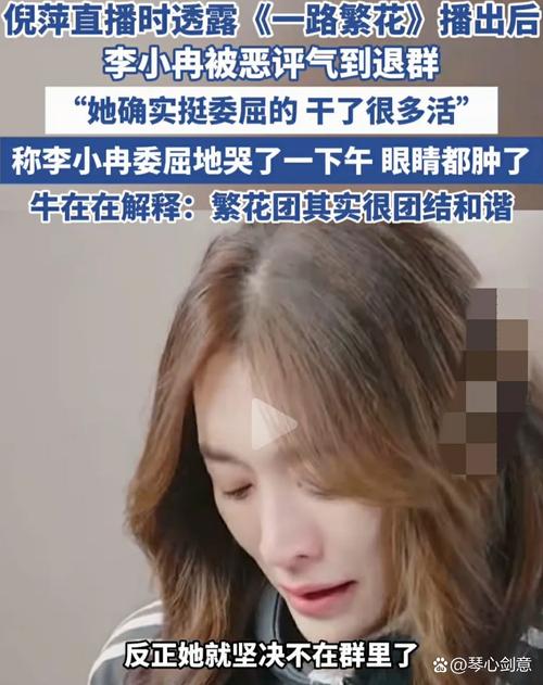 李小冉回应删何炅微信:以为天又塌了