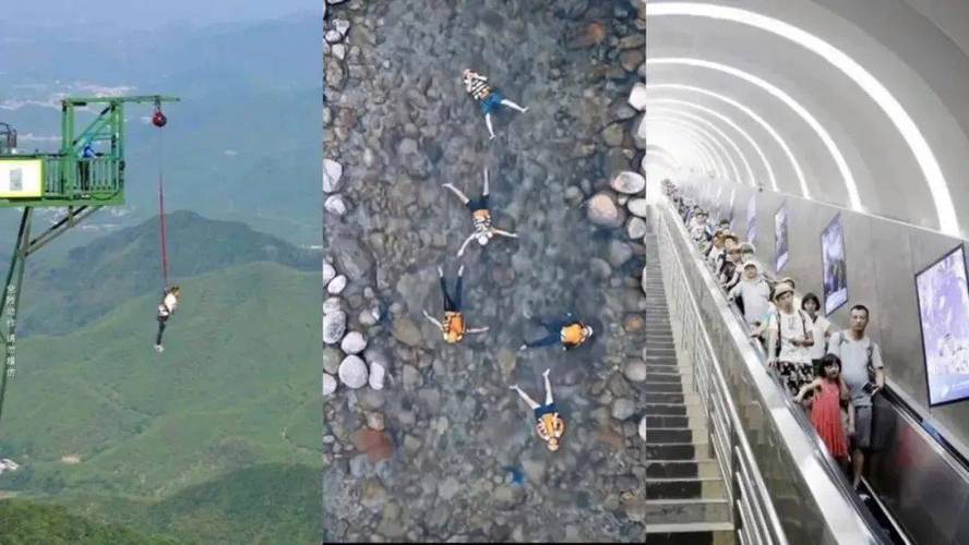 “窝囊旅游”为啥这么火