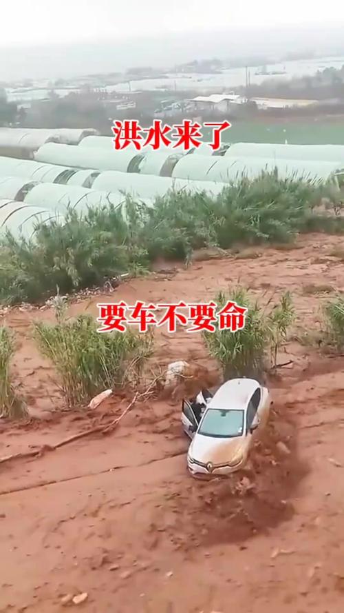 洪水来时驾车可以快速逃离?误区