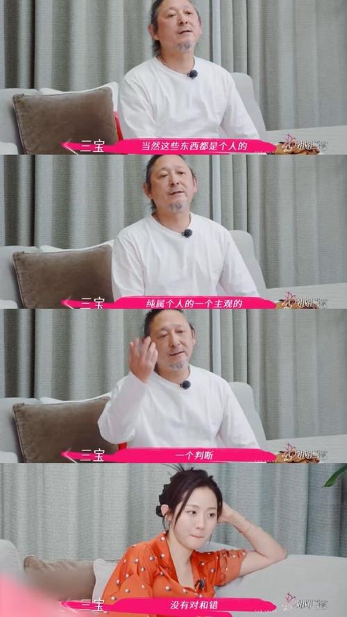 三宝:孙俪不是一个好演员