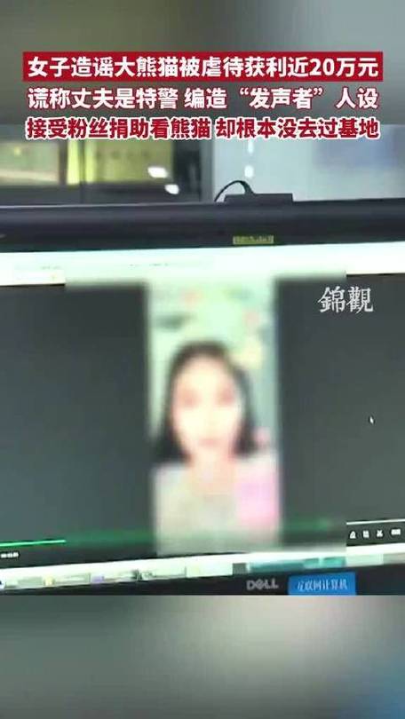 夫妻假扮熊猫粉造谣敛财被判刑