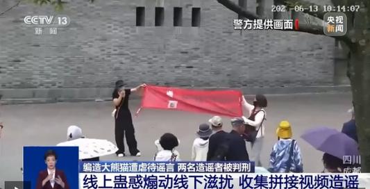 夫妻假扮熊猫粉造谣敛财被判刑