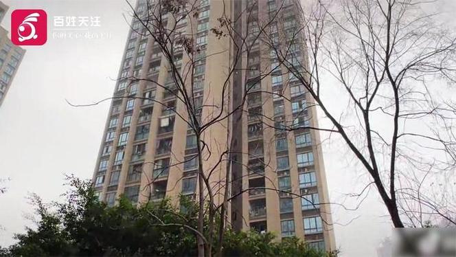 重庆姐弟坠亡房屋法拍再被撤回