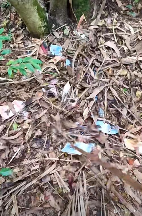 江西一树林现大量被丢弃药品
