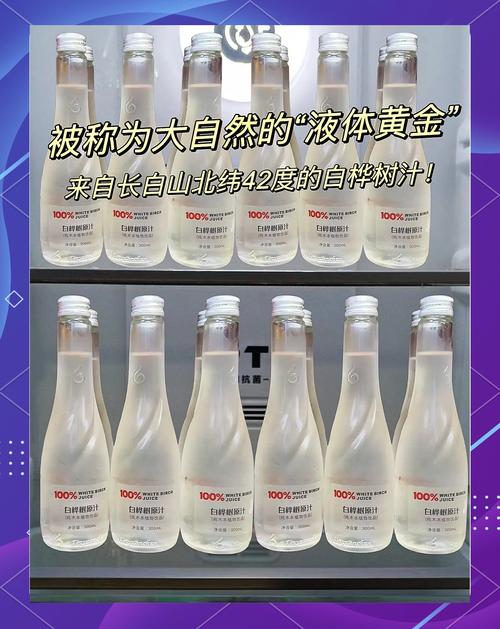白桦树汁变身“液体黄金”