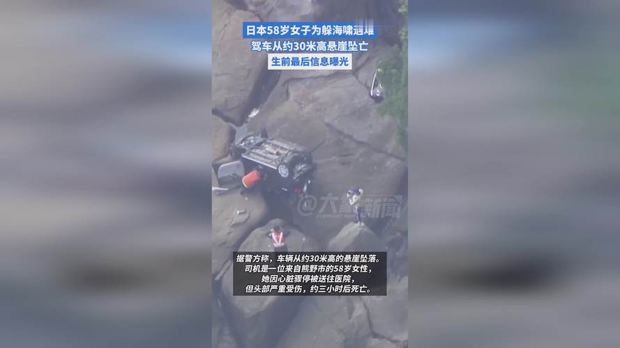 日本女子躲海啸驾车从30米悬崖坠亡