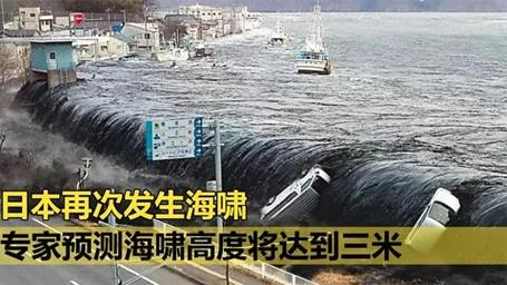 日本女子躲海啸驾车从30米悬崖坠亡