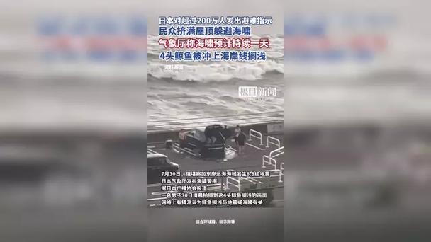 日本已对超200万人发出避难指示