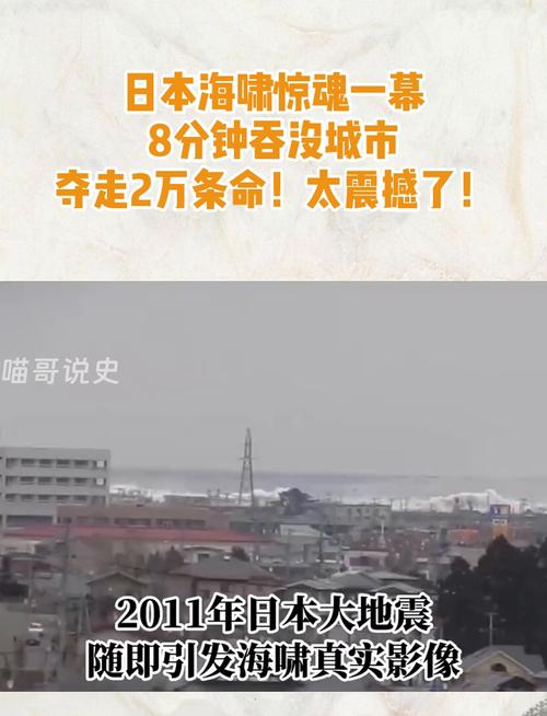 日本海啸来袭 居民跑向避难所