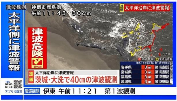 海啸抵达日本:民众挤满屋顶