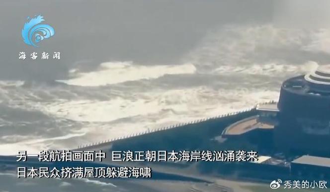 海啸抵达日本:民众挤满屋顶
