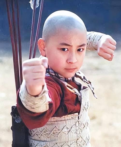 释小龙父亲任职的少林武校被执行