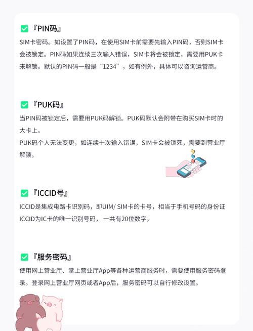 如何在苹果手机设置PIN密码