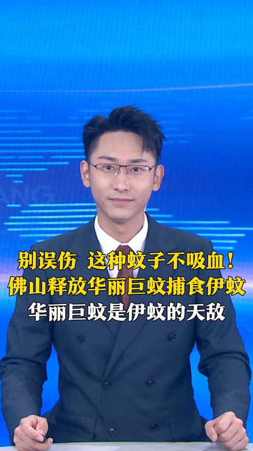 什么是华丽巨蚊
