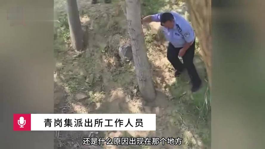 女子跑步时发现沟里有头骨 警方回应