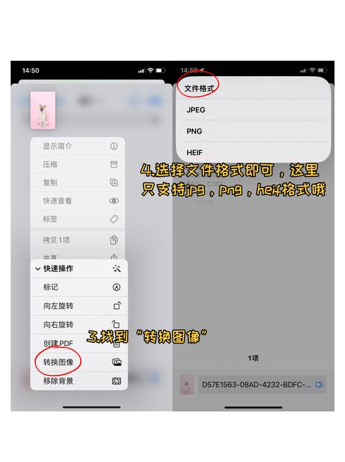 苹果手机如何转换jpg格式的图片
