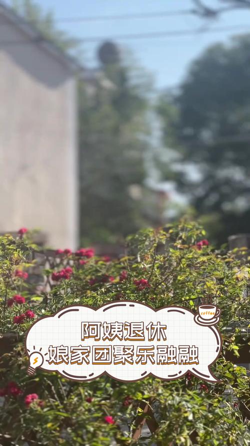 阿姨退休后秒退几十个群手机都变轻