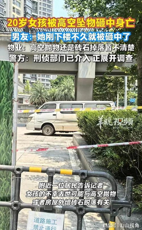 女孩疑被高空坠物砸身亡男友发声