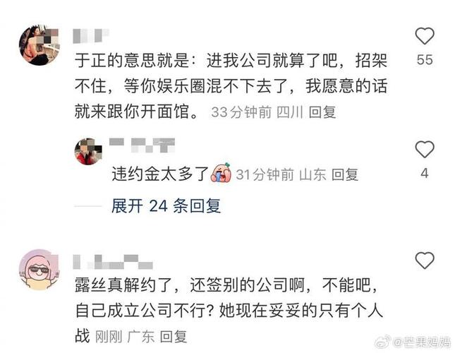 于正力挺赵露思：可以合伙开面馆