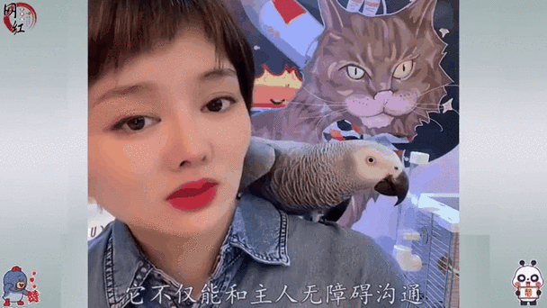 饭店用脏话命名 知情人:是店主绰号