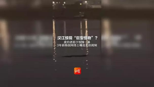 汉江现巨型怪物？夜钓者拍下惊悚一幕