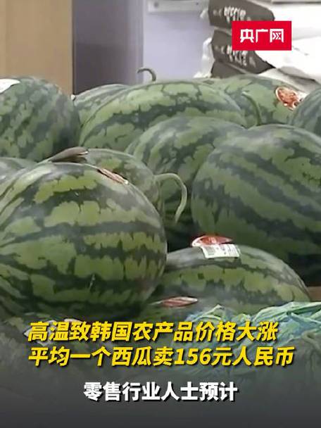 韩国农产品价格上涨 1个西瓜173元